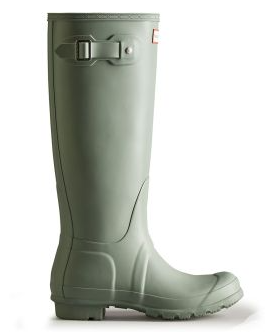 My Daily Companion: hunter boots